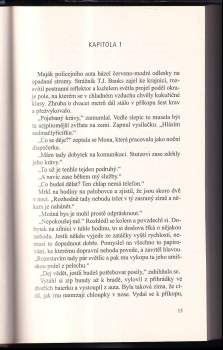 Linda Castillo: Slib mlčení