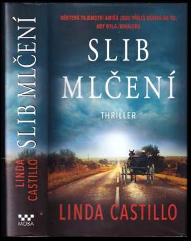 Linda Castillo: Slib mlčení