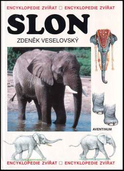 Slon