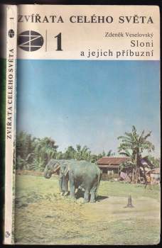 Sloni a jejich příbuzní