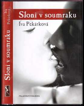 Sloni v soumraku