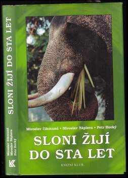 Sloni žijí do sta let