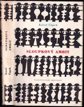 Sloupkový ambit