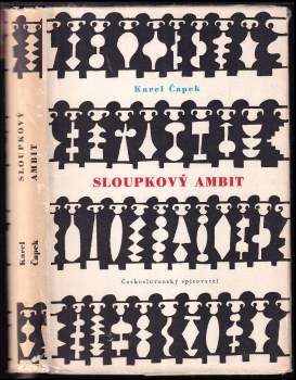 Sloupkový ambit