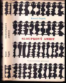 Sloupkový ambit