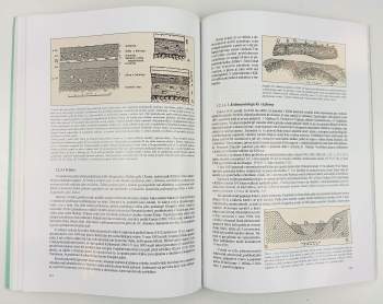 Rudolf Musil: Sloupsko-šošůvské jeskyně