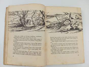 Ivan Nikitovič Kožedub: Sloužím vlasti