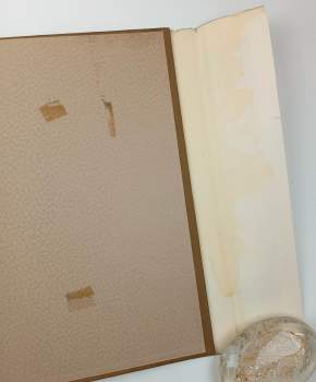 Ľudovít Janota: Slovenské hrady