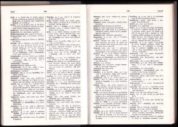 Adolf Kamiš: Slovensko-český slovník