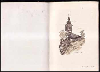 Karel Vik: Karel Vik