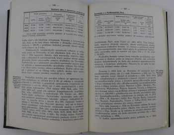 Slovenský priemysel roku 1925