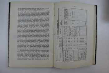 Slovenský priemysel roku 1925