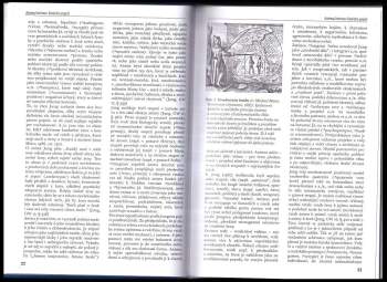 Slovník analytické psychologie