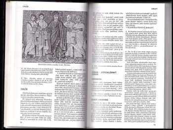 Slovník biblické kultury : Danielle Fouilloux ... [et al.] ; [z francouzského originálu přeložili a upravili Jan Binder ... [et al.]