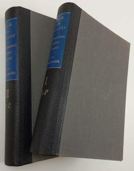 Oldřich Stehlík: Slovník česko-francouzský