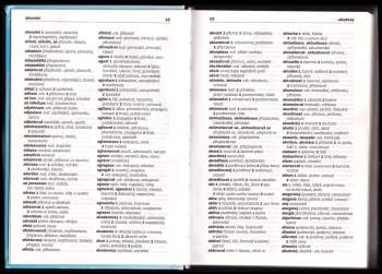 Jan Všianský: Slovník českých synonym