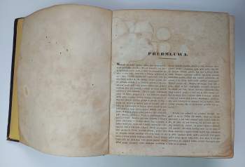 Josef Jungmann: Slownjk česko-německý Josefa Jungmanna. Djl I. - V.