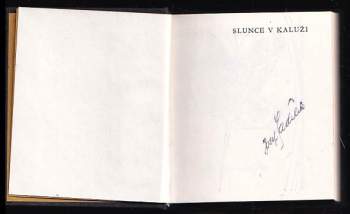 Josef Sadílek: Slunce v kaluži