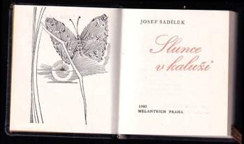 Josef Sadílek: Slunce v kaluži