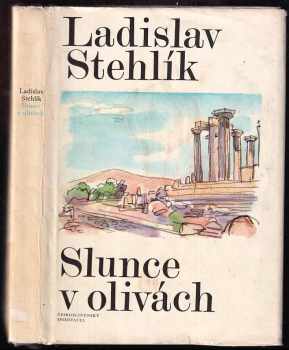 Slunce v olivách