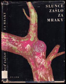 Slunce zašlo za mraky