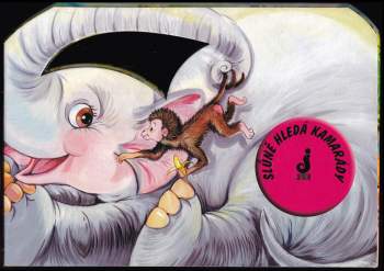 Slůně hledá kamarády