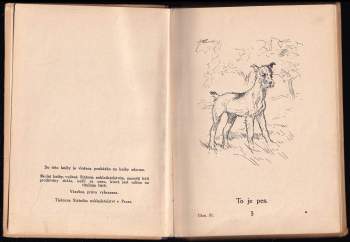 Bohumil Tožička: Sluníčko