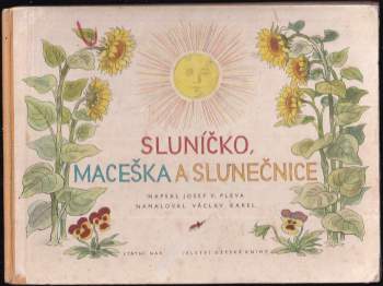 Sluníčko, maceška a slunečnice