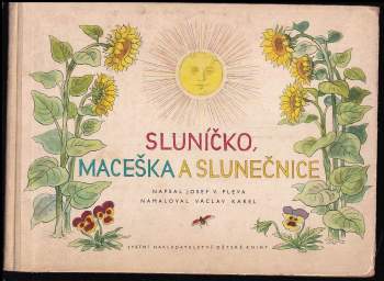 Sluníčko, maceška a slunečnice
