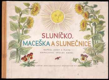 Sluníčko, maceška a slunečnice