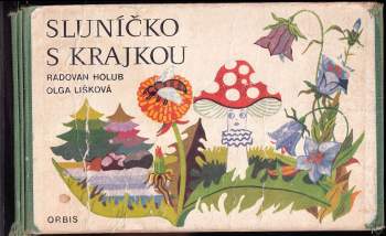 Sluníčko s krajkou