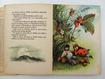 Alena Klugarová: Sluníčkova dobrodružství