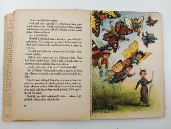 Alena Klugarová: Sluníčkova dobrodružství