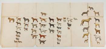 Jiří Winter: Služební pes. Příručka pro přípravu specialistů v chovu služebních psů