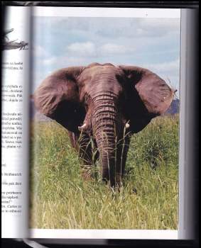 Jaroslav Mareš: Smrt ve sloní trávě