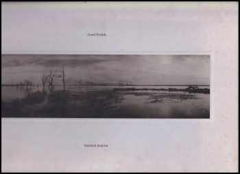 Josef Sudek: Smutná krajina