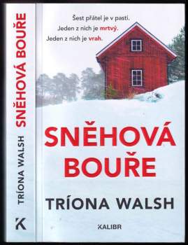 Tríona Walsh: Sněhová bouře