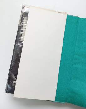 Paul Celan: Sněžný part