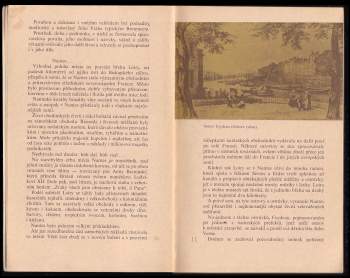Jevgenij Pavlovič Brandis: Snílek Jules Verne