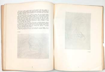 F. X Šalda: Sochař A. Rodin