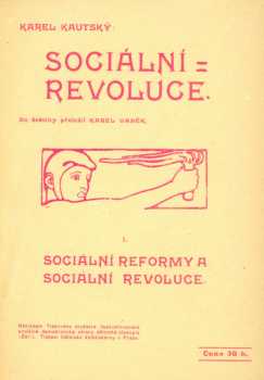 Karl Kautsky: Sociální revoluce I