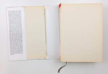 Anthony Giddens: Sociologie