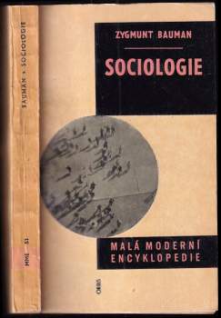Zygmunt Bauman: Sociologie