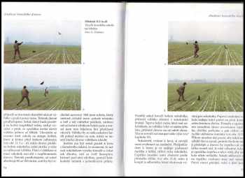 Heinz Brüll: Sokolnictví