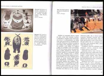 Heinz Brüll: Sokolnictví