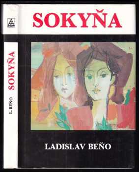 Sokyňa