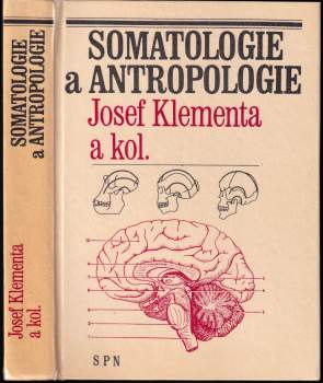 Somatologie a antropologie
