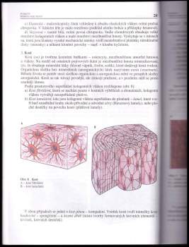Richard Rokyta: Somatologie I. a II