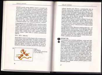 Stanislav Trojan: Somatologie