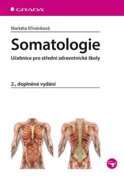 Markéta Křivánková: Somatologie